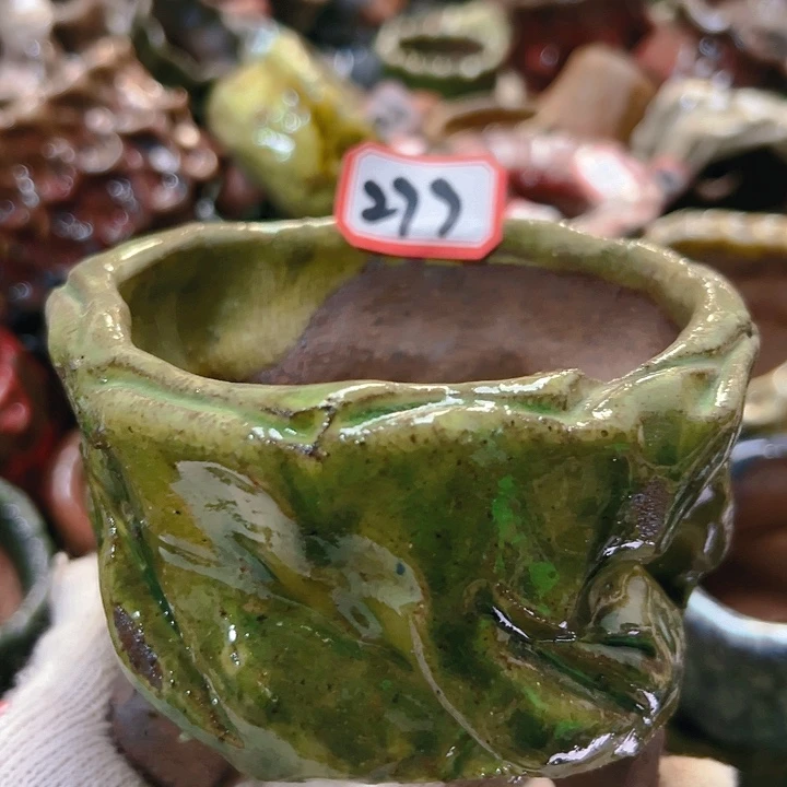 红陶20CM（含）-50CM（不含）