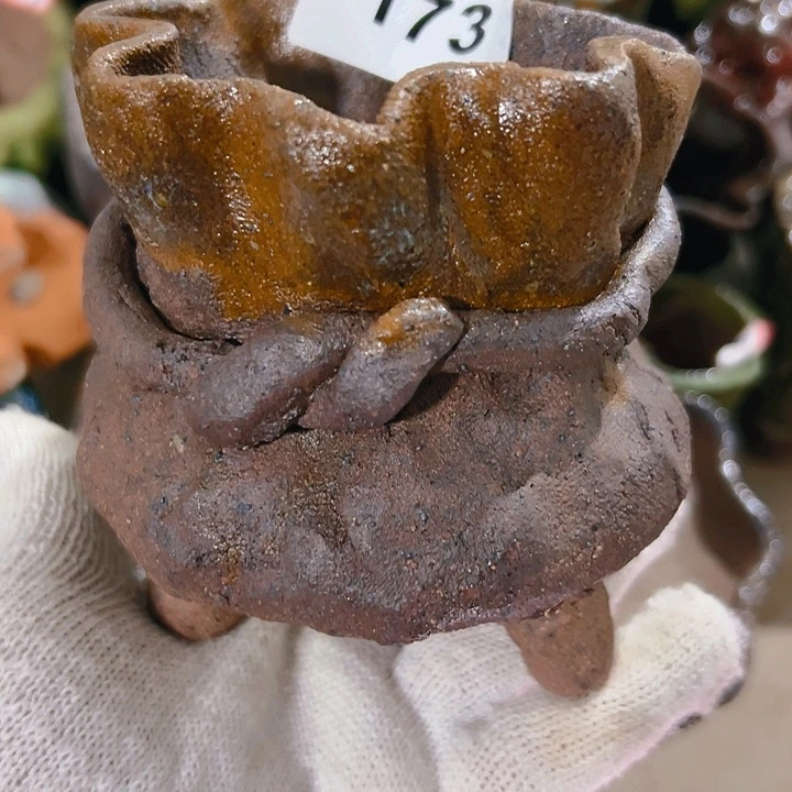 红陶20CM（含）-50CM（不含）