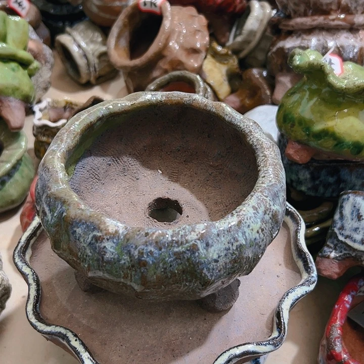 红陶20CM（含）-50CM（不含）