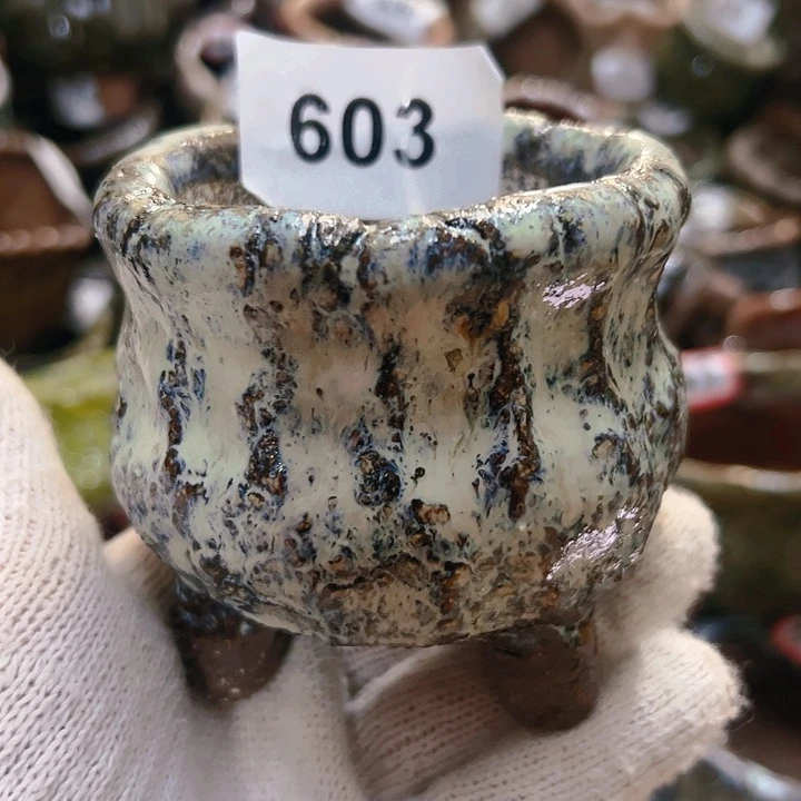 红陶20CM（含）-50CM（不含）