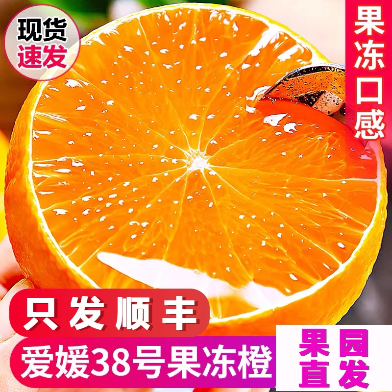【现摘现发四川爱媛38号果冻橙】顺丰到家新鲜四川柑橘水果皮薄多汁