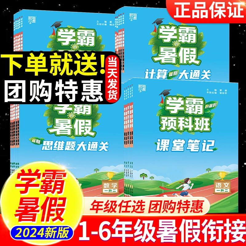 学霸的暑假衔接作业一二三四五六年级下册语文课堂笔记阅读集训数