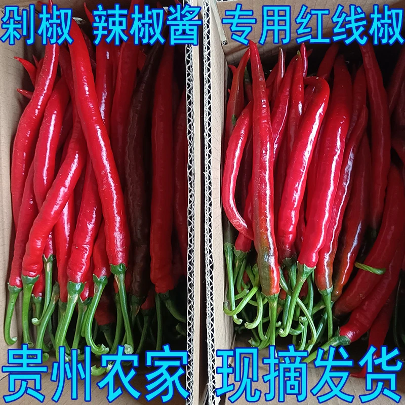 二荆条红辣椒新鲜 红线椒 红椒 贵州特产精品 剁椒辣椒酱专用批发