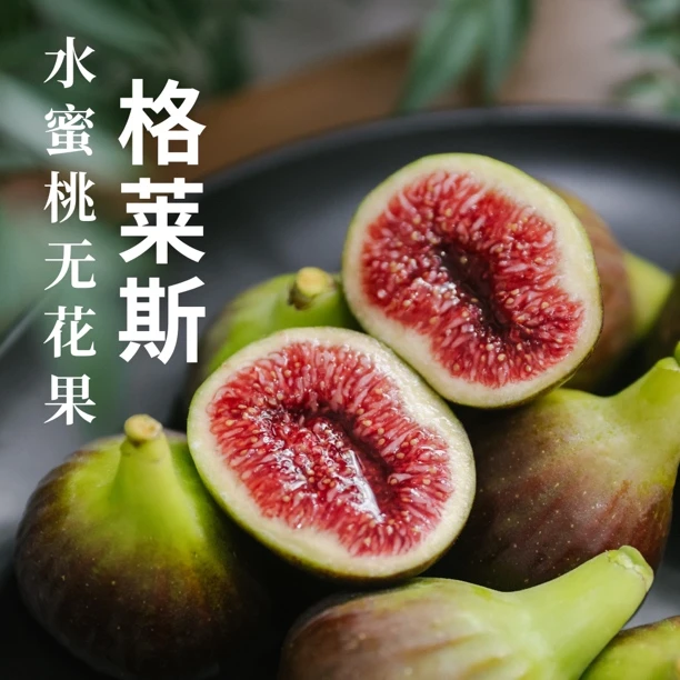 花果无缺｜云南新鲜无花果 格莱斯芭劳奈优秀品种肉厚糯甜高原露天
