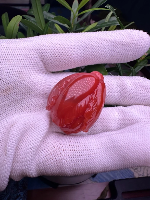 保山杨柳南红玛瑙～白菜