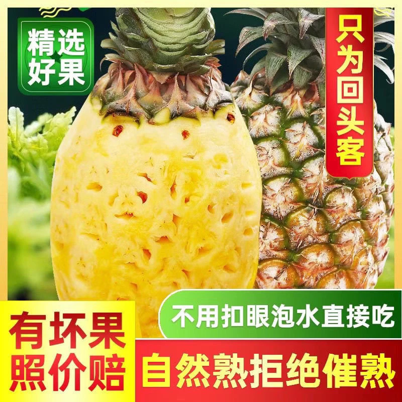 【海南直采】海南金钻凤梨现摘现发香甜多汁当季孕妇水果自然熟