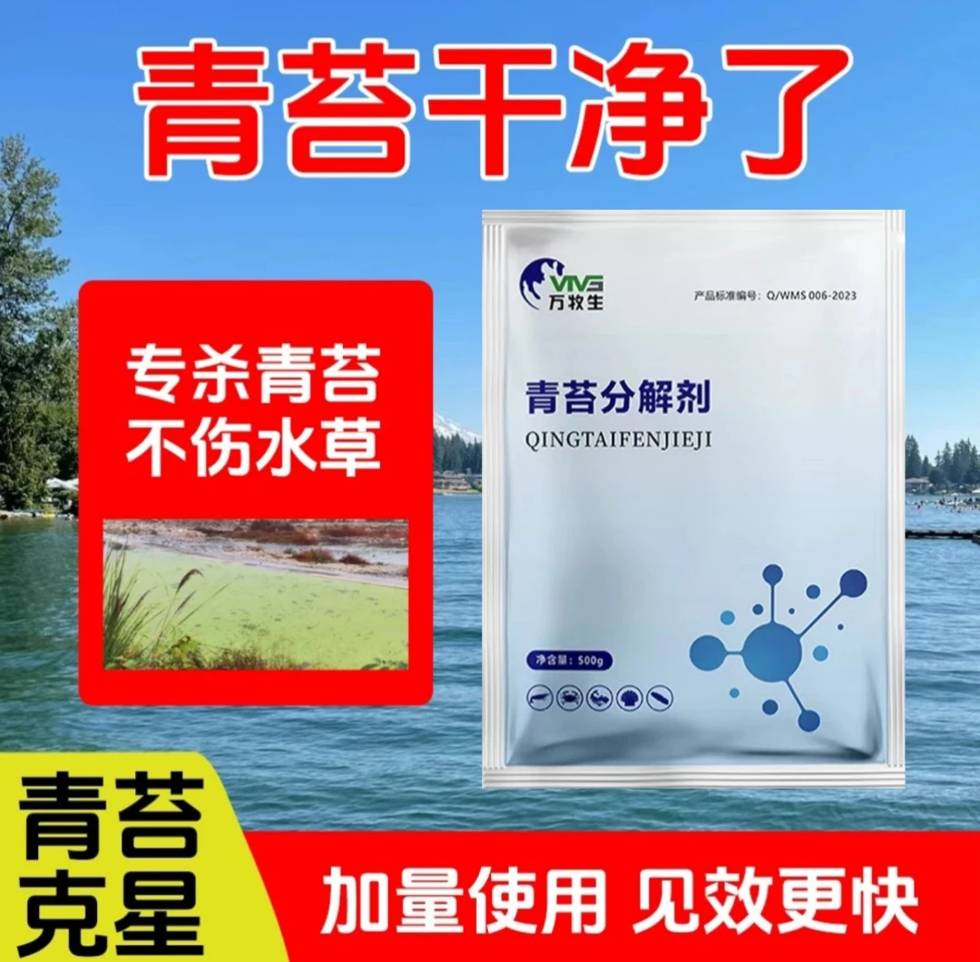 500g青苔消分解青苔枯草芽孢杆菌不伤水净化水产养殖渔塘养殖