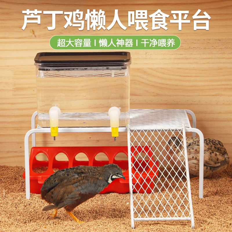芦丁鸡喂食器小鹌鹑食盒下料盒12孔大容量懒人喂食平台小鸡饲料盒
