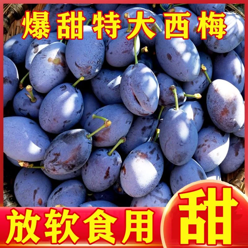 爆甜特大西梅