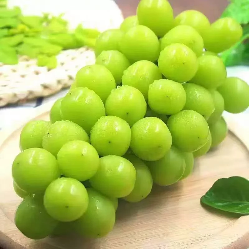 晴王 新鲜应季水果 香甜可口 水嫩多汁包邮