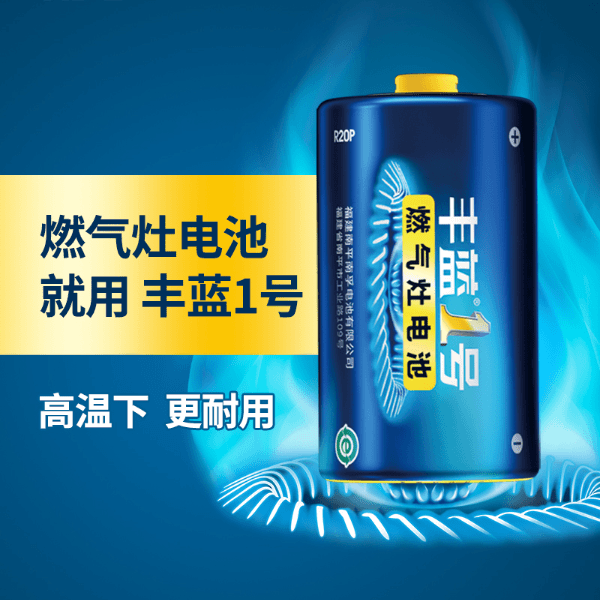 南孚控股丰蓝1号电池燃气灶电池大号热水器电池煤气灶一号干电池