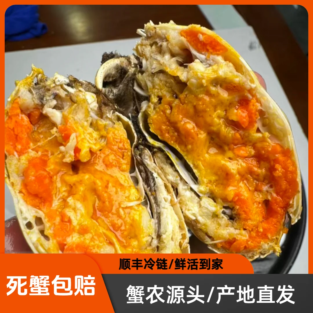 【公母自吃】公蟹3.5两左右母蟹3两左右 8-10只/兴化大闸蟹顺丰发货