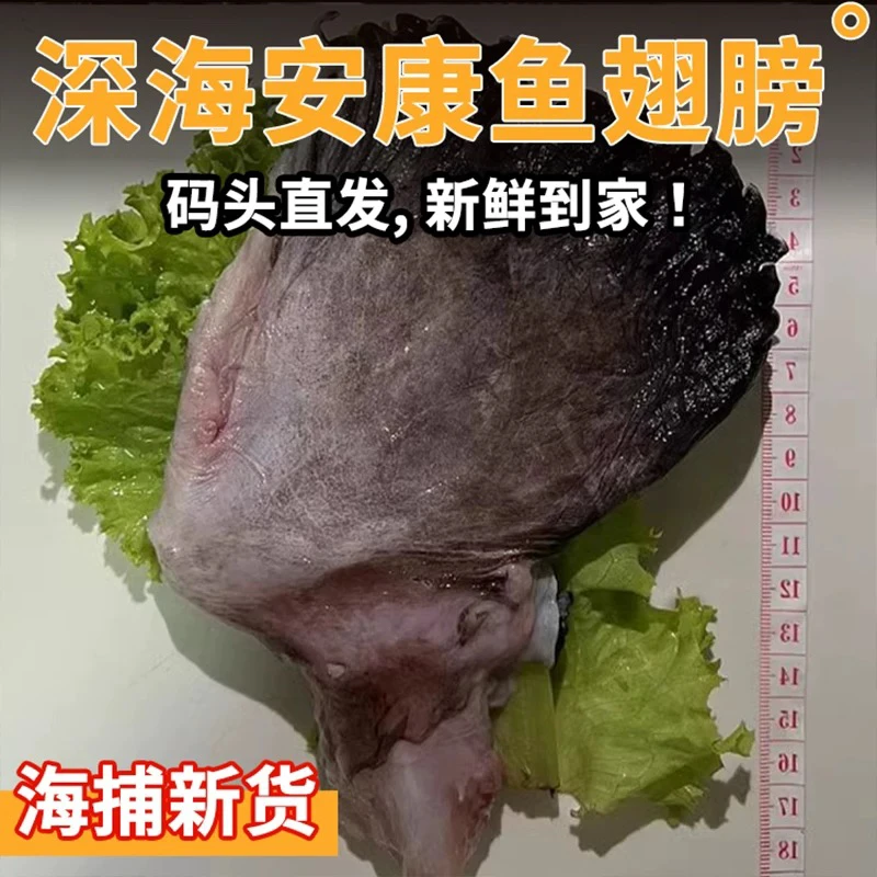 【生鲜】安康鱼翅鱼鳍2斤1包1斤10个左右鱼爪子生鲜海鲜冷链发货