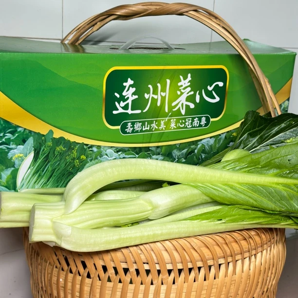 长寿之乡连州菜心清甜爽口5斤/10斤包邮