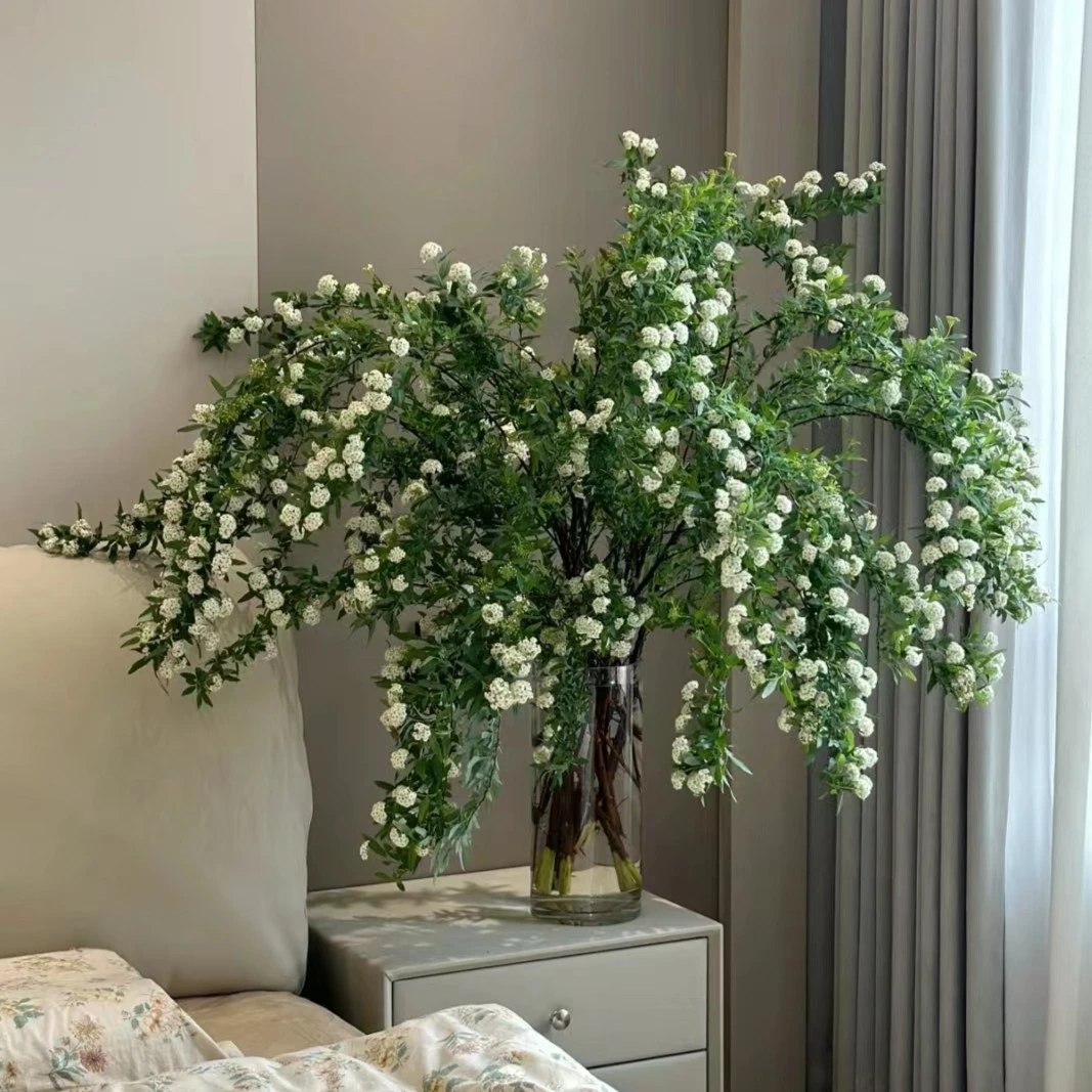 植迷不误植迷专属单瓣小手球不是所有都一样长有搭配侧枝醒花