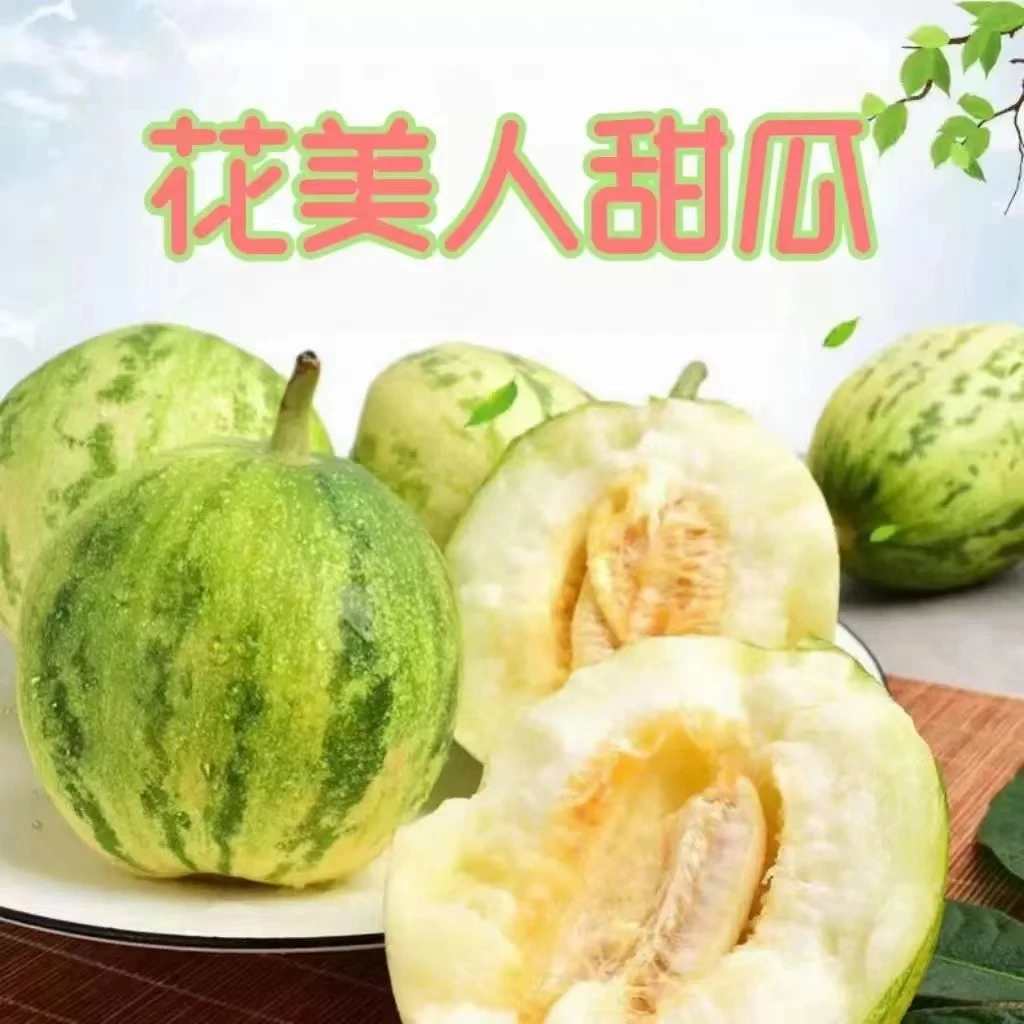 山东头茬5斤花美人新鲜采摘香味浓郁鲜甜甜蜜自然成熟现摘发货