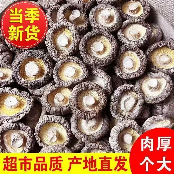（香菇）一村一品湘西种植250克