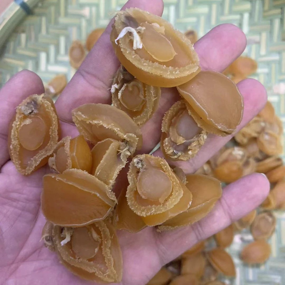 精选大连黄金A鲍鱼淡干鲍鱼干焖肉煲汤煲粥佛跳墙食材海鲜干货