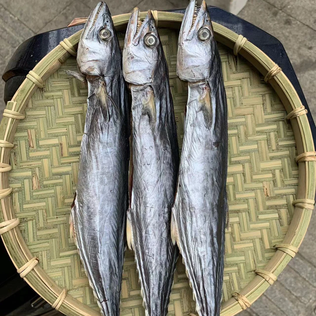 台山定制淡口有头/去头马鲛咸鱼实肉500g清蒸马鲛鱼风干