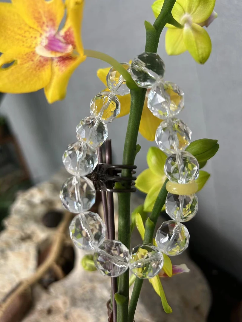 白水晶配蜜蜡跑环