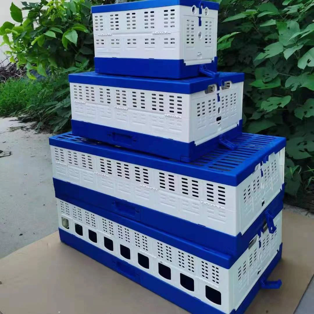 领航 塑料可折叠训放笼