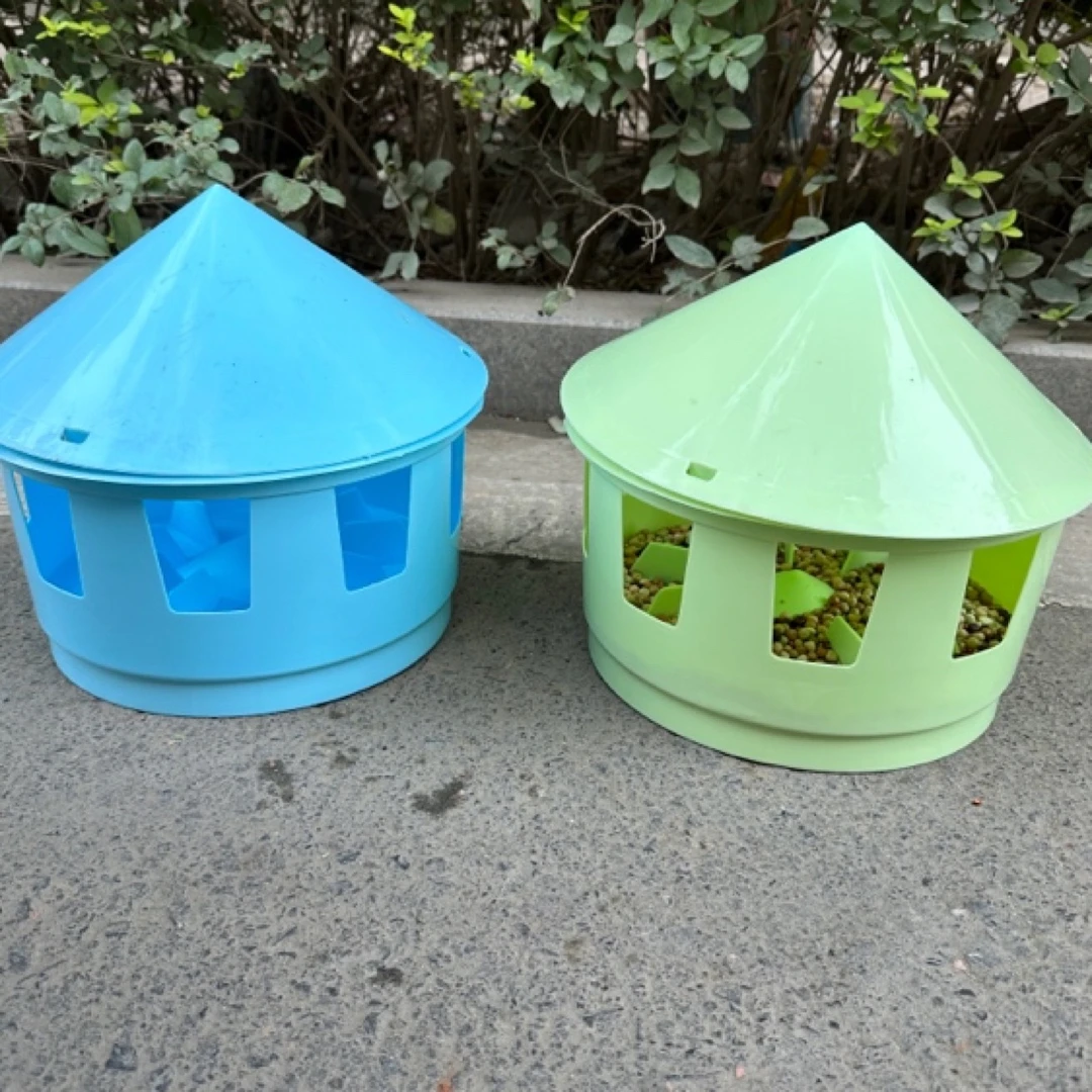 鸽子九孔保健砂盒，拍一发二！