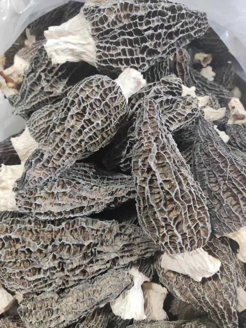 精品大个仿野生羊肚菌