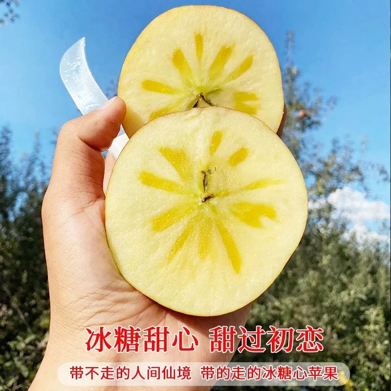 大凉山盐源丑苹果5斤8斤