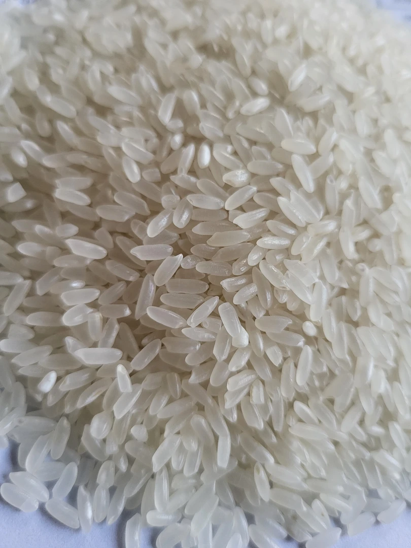 2024新米 厨粮长粒香大米 10斤装