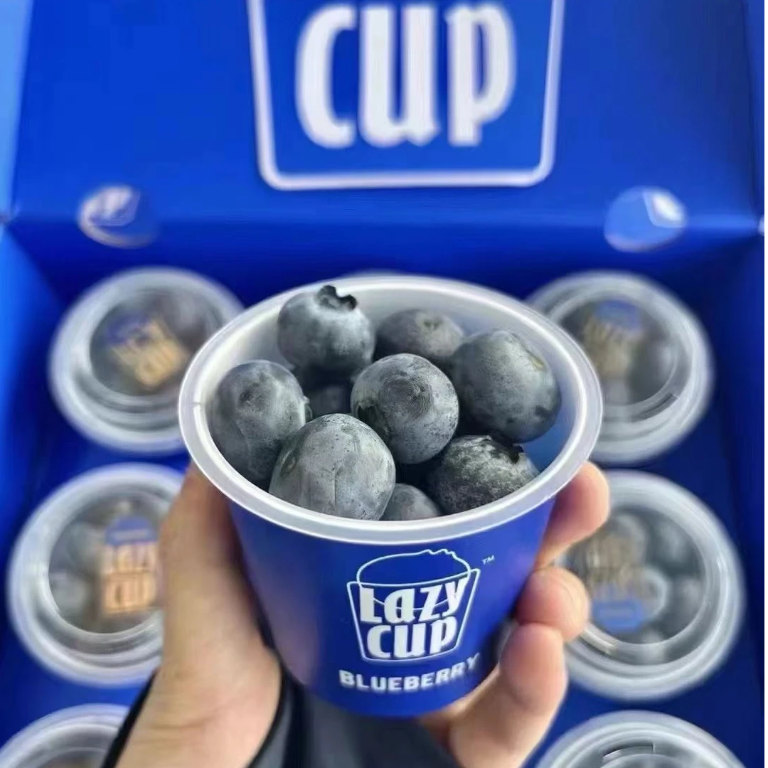 Lazy`Cup小懒杯蓝莓18+果径蓝色魔法书款12杯装每杯60克