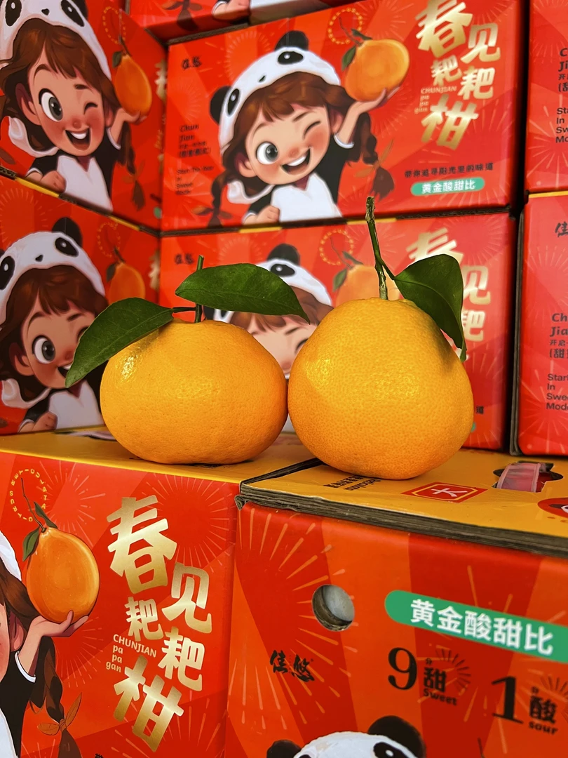 粑粑柑（1件）