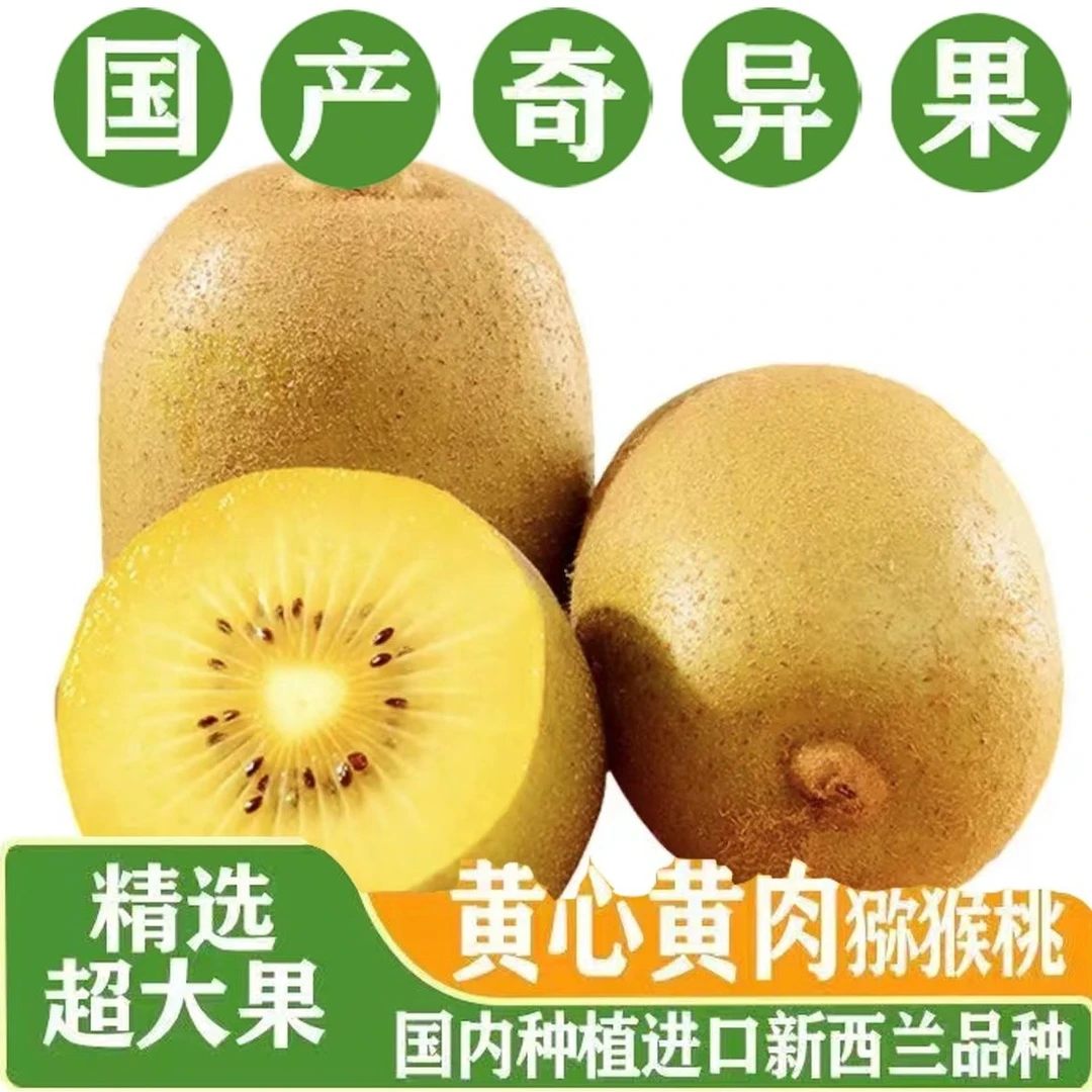 【坏果包赔】阳光金果G3猕猴桃新鲜猕猴桃香甜放软8-16枚礼盒装