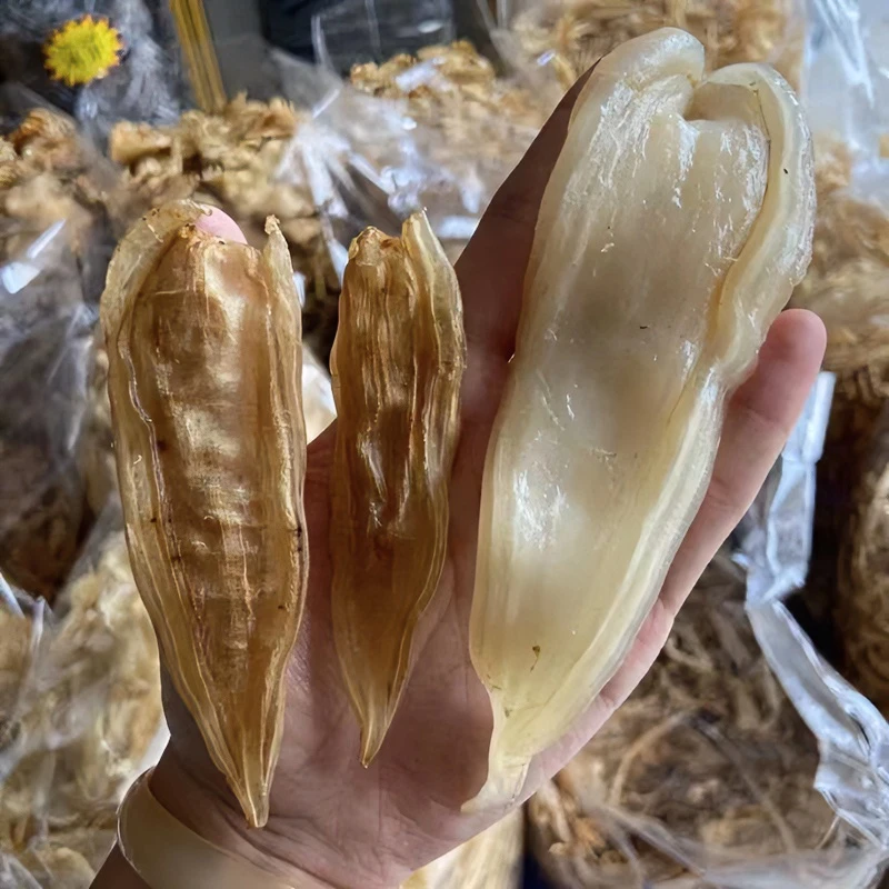 双背胶海胶双背鱼胶正宗双背花胶鱼胶海产干货深海滋补营养天然