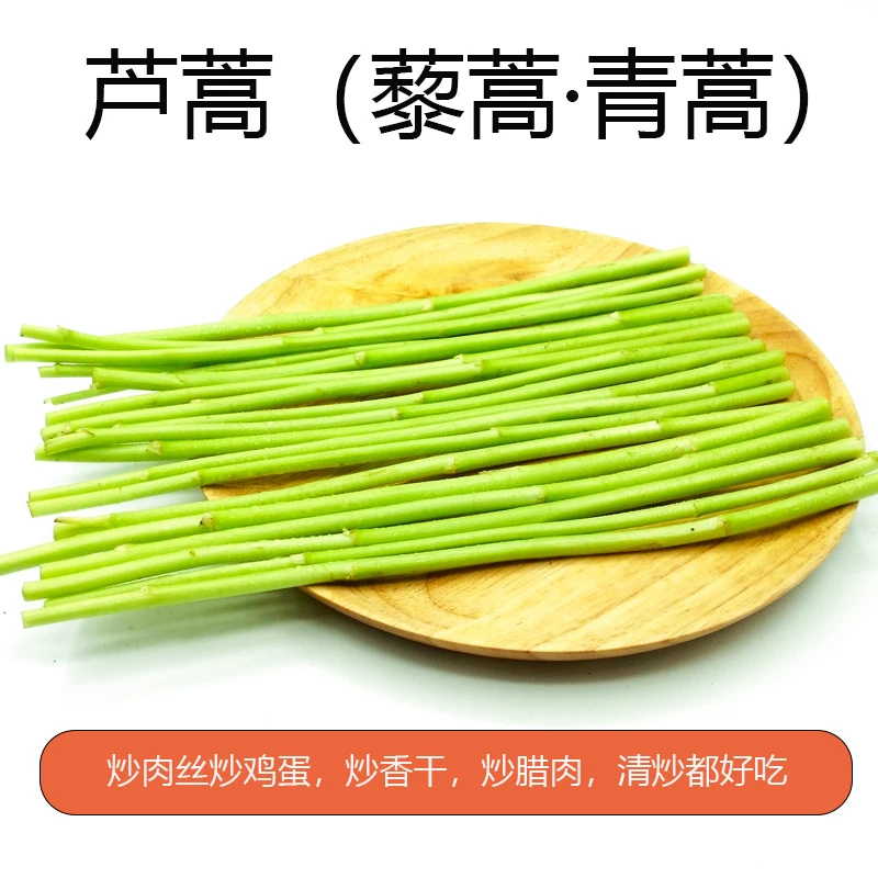 宿迁精品芦篙现采现发