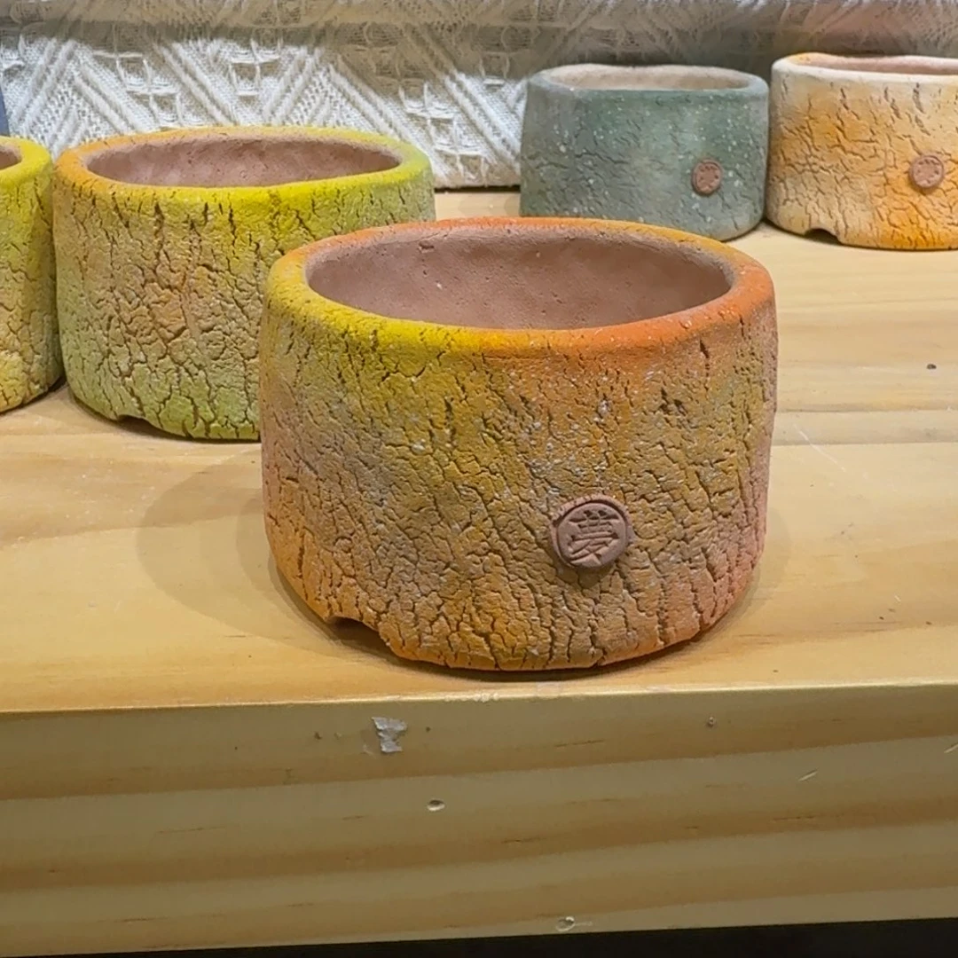红陶20CM（含）-50CM（不含）豆****亲63