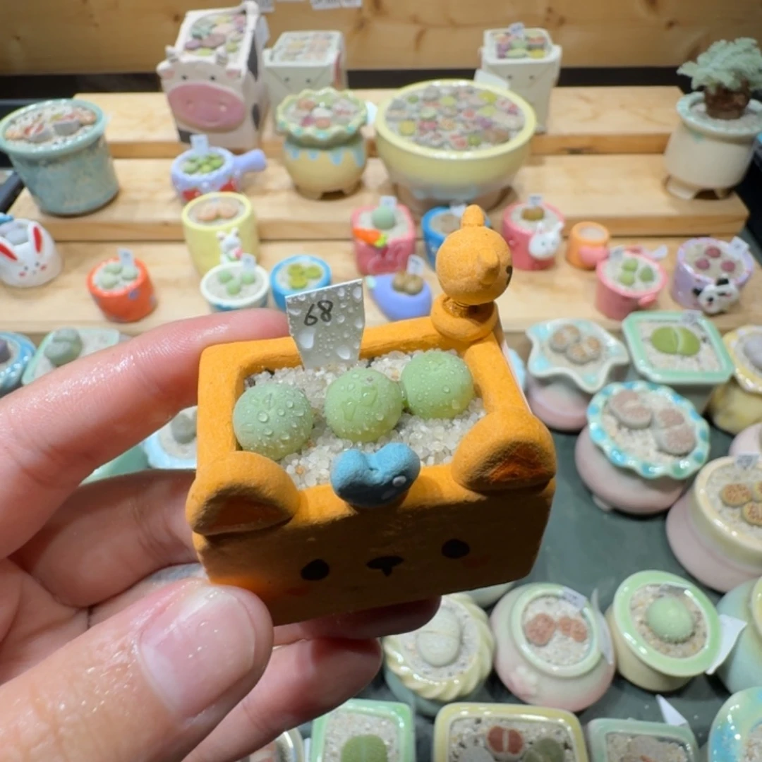 红陶20CM（含）-50CM（不含）蘑菇-666