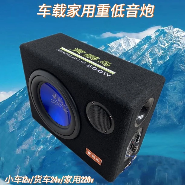 10寸超薄车载专业12/24v220v超重低炮蓝牙U盘汽车改装尾箱