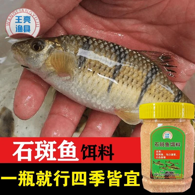 王亮石斑鱼饵料溪石斑马口溪哥赤尾白条鲫鱼溪流钓饵料240克