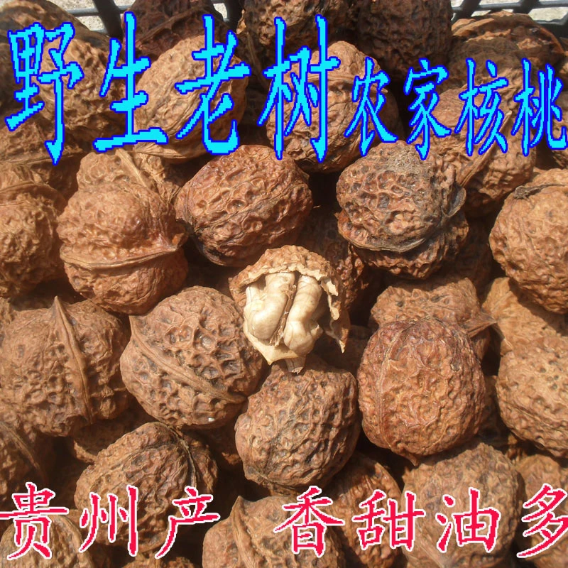 新货贵州特产赫章野生老树核桃 山核桃深山农家 无漂白干核桃回甜