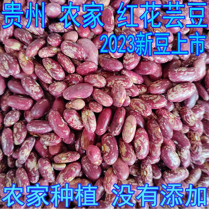 贵州花豆新豆 花芸豆 贵州酸菜豆米 豆子 花豆子 四季豆米 农家