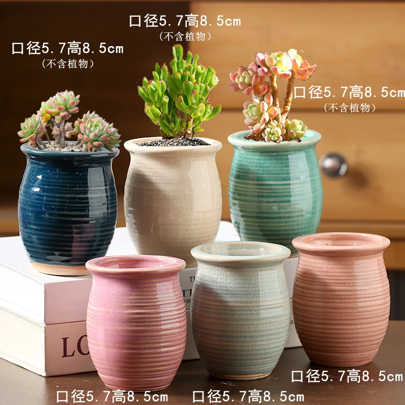 小老桩陶瓷多肉花盆