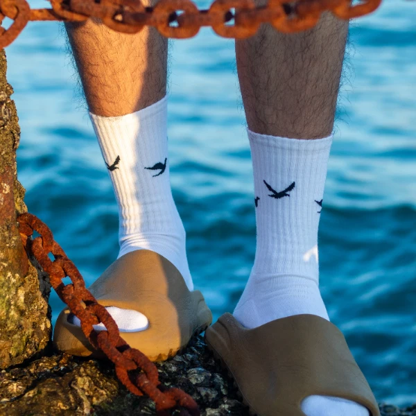 wassail原创日系潮袜男袜鸽子运动袜棉袜穿搭情侣袜中筒袜59