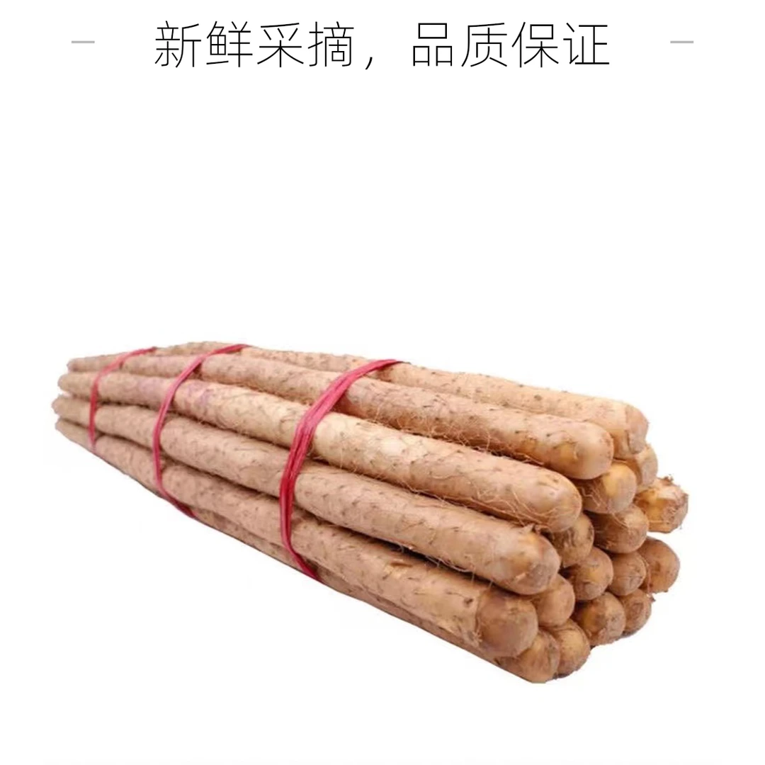 新鲜铁棍山药原产地直达垆土种植软糯香甜营养丰富30-40cm