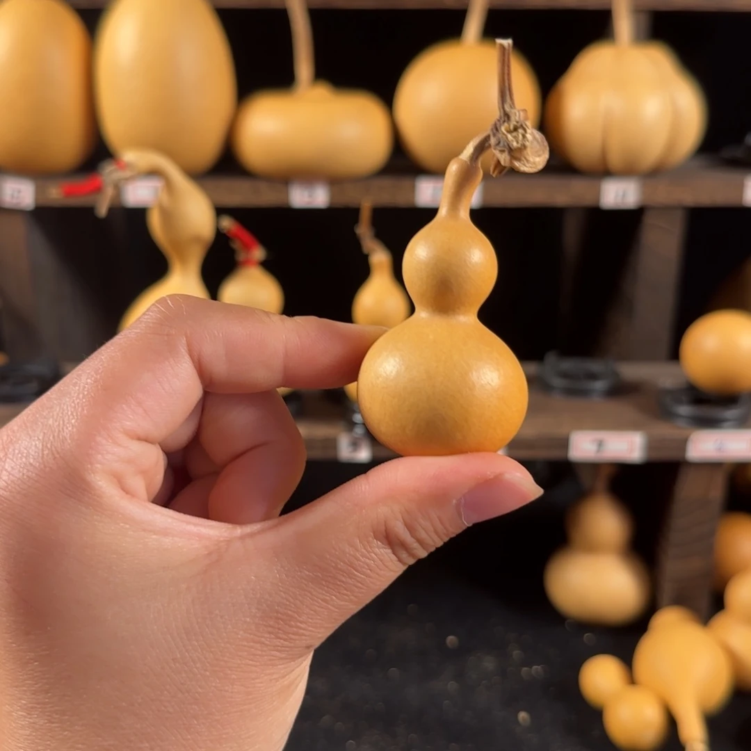 T****o葫芦葫芦葫芦葫芦葫芦葫芦