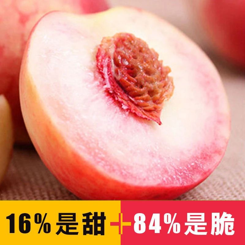 现摘水蜜桃整箱新鲜水果桃子应季孕妇农家蜜桃毛桃时令大果甜