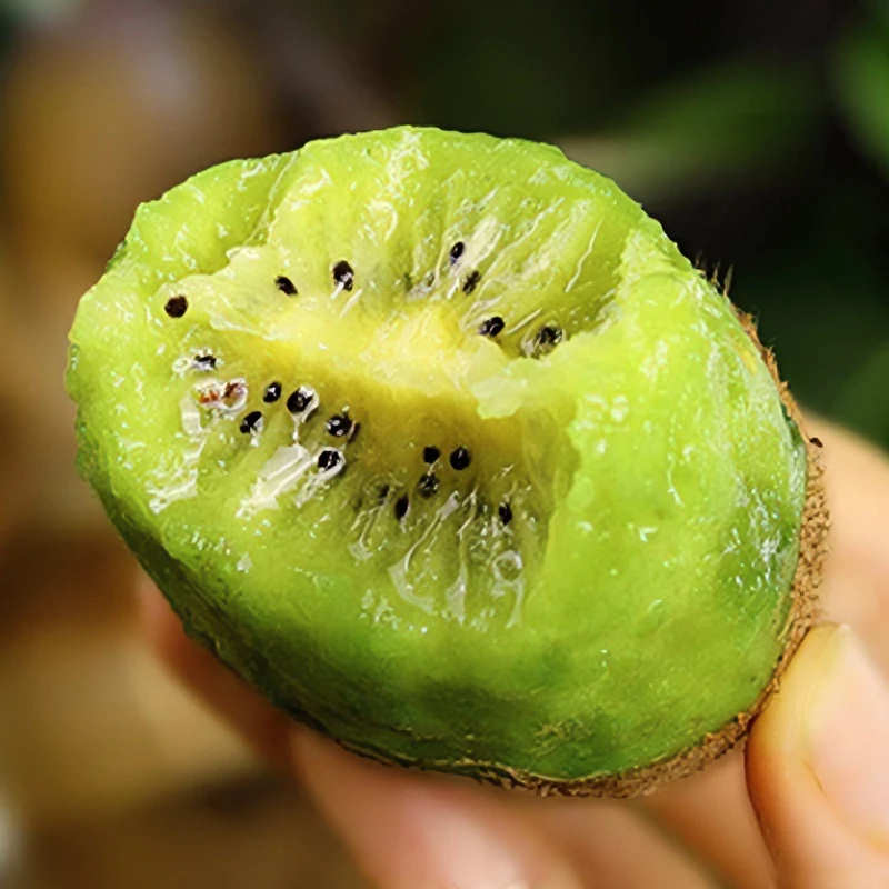 辰颐物语辰颐物语徐香猕猴桃中果2.1斤装催不熟包赔翠香猕猴桃