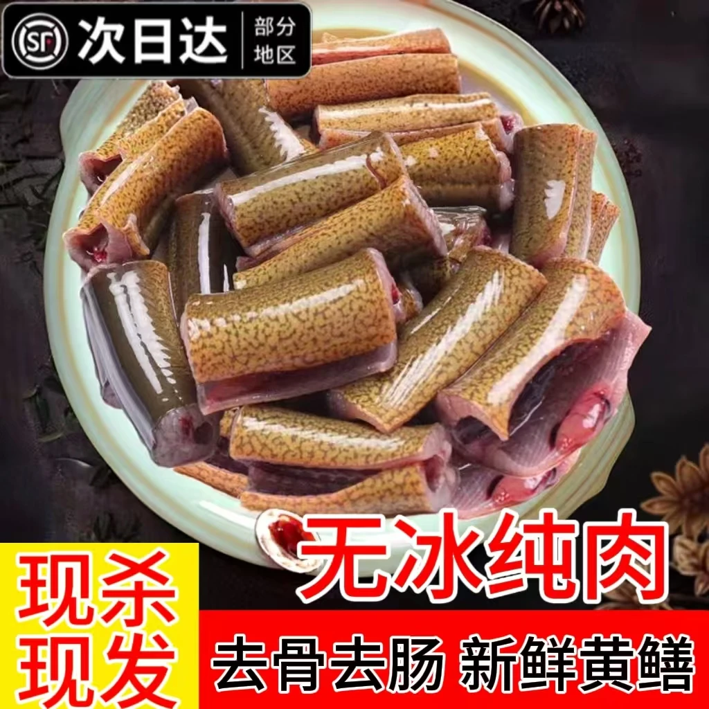 新鲜土黄鳝鱼段去头去脏鲜活现杀冷冻鳝鱼片段炖骨煲汤鳝段商用