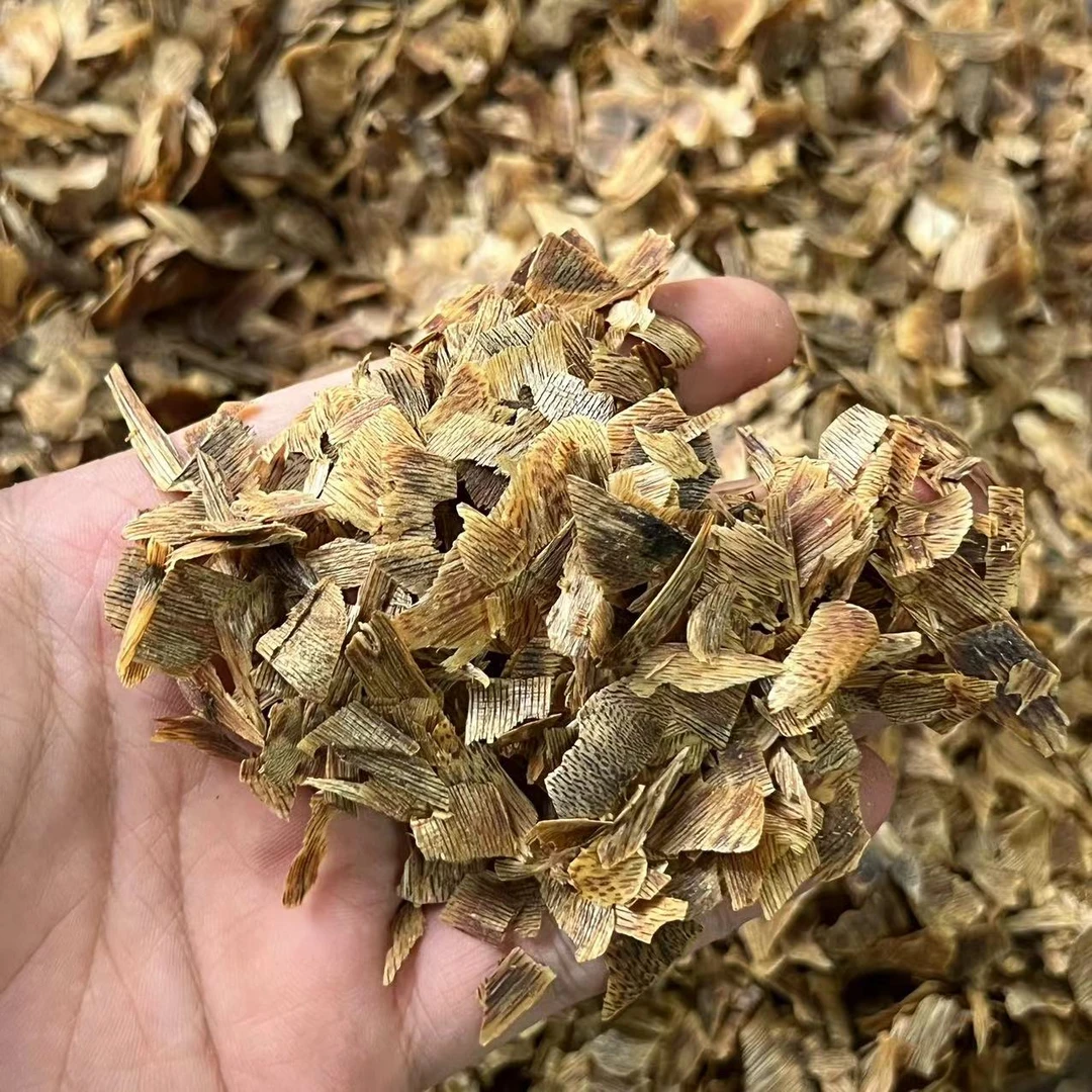 【才少推荐】沉香乌身圆叶切片原料10克多样性发货1份
