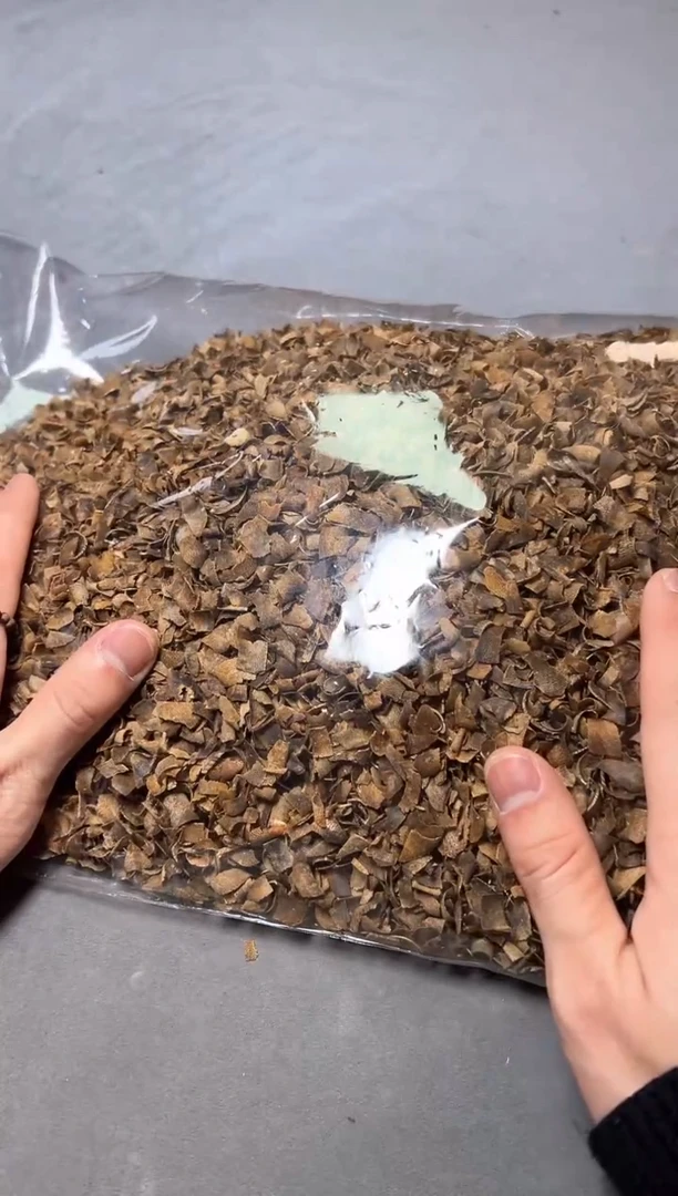 【闪购商品】2号绿奇楠切片10克