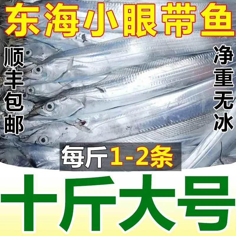 【顺丰包邮】东海整条带鱼整条无冰新鲜冷冻整箱大带鱼东海450g
